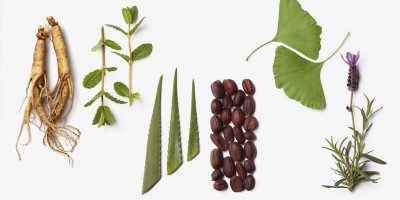 La-Biosthetique-Botanique